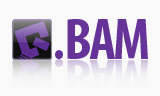Using BAM in your programs