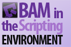 BAM in the Scripting Environment